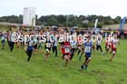 Under-11s Sunderland Harriers Open Cross Country. Photo: David T. Hewitson/Sports for All Pics